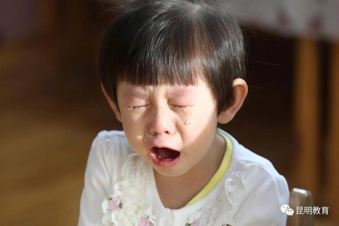 Giáo sư Harvard chỉ ra: 3 dấu hiệu ở trẻ dự báo lớn lên "không có tiền đồ"!