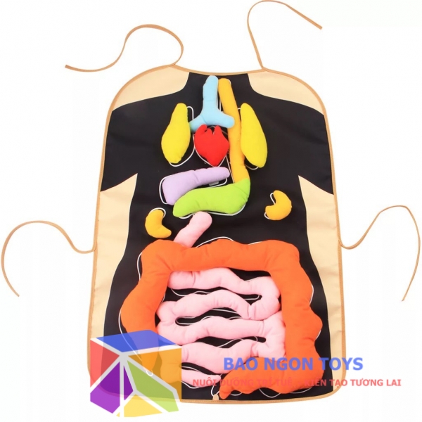 GIÁO CỤ DẠY HỌC MONTESSORI VỀ CÁC CƠ QUAN NỘI TẠNG TRONG CƠ THỂ - BÉ VÀO VAI BÁC SĨ NGOẠI KHOA - BAO NGON TOYS - DV34