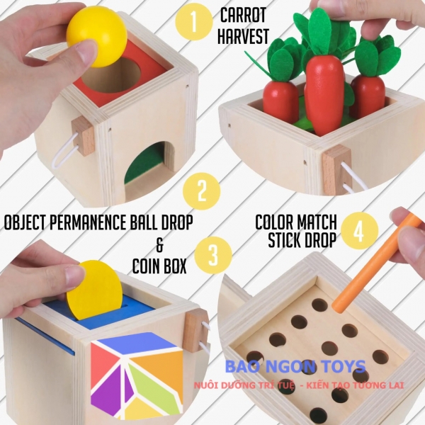 Set hộp thả bóng montessori 4 in 1 giúp bé phát triển vận động tinh qua nhiều giai đoạn, đồ chơi thông minh cho trẻ nhỏ - BAO NGON TOYS - DG178B