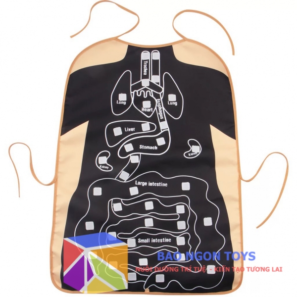 GIÁO CỤ DẠY HỌC MONTESSORI VỀ CÁC CƠ QUAN NỘI TẠNG TRONG CƠ THỂ - BÉ VÀO VAI BÁC SĨ NGOẠI KHOA - BAO NGON TOYS - DV34